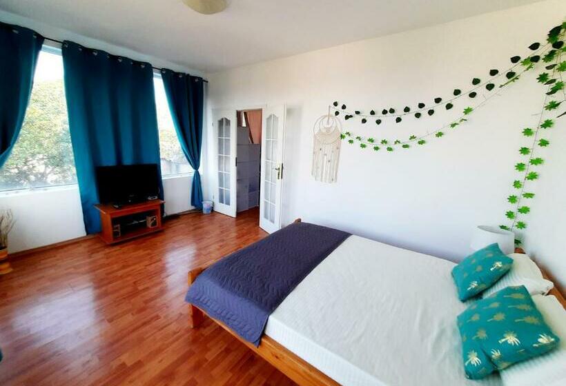 Cozy Summer Residence Sun Studio