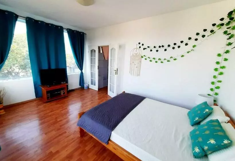 Cozy Summer Residence   Sun Studio