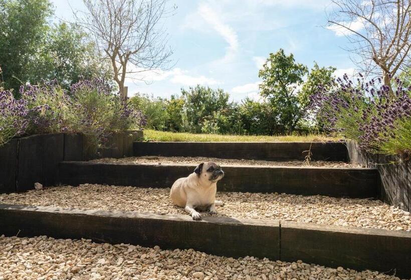 Boddington Mill, Enchanting 3 Bdr Retreat By Oriri