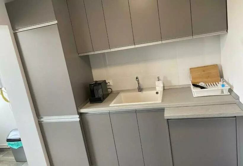 Alesandru Apartament