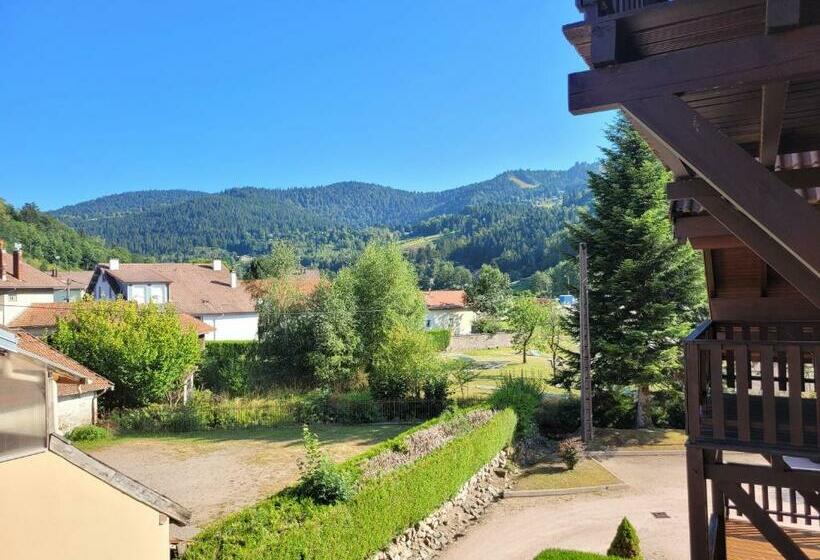 Appartement Chaleureux Au Cœur Des Hautes Vosges