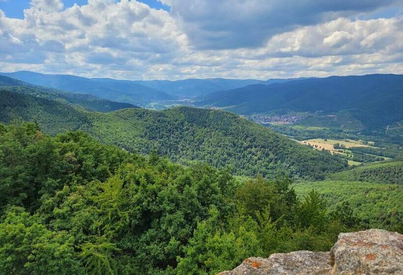 Appartement Chaleureux Au Cœur Des Hautes Vosges