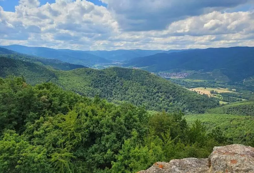 Appartement Chaleureux Au Cœur Des Hautes Vosges