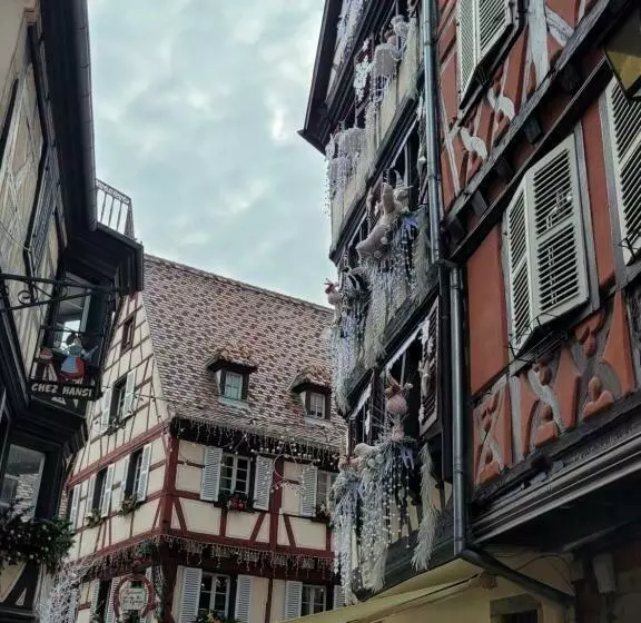 Appartement Chaleureux Au Cœur Des Hautes Vosges