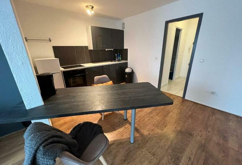 Mon Palmier Grand Appartement Parking Un Séjour à Part