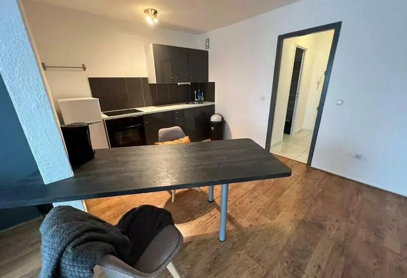 Mon Palmier Grand Appartement Parking Un Séjour à Part