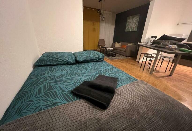 Mon Palmier Grand Appartement Parking Un Séjour à Part