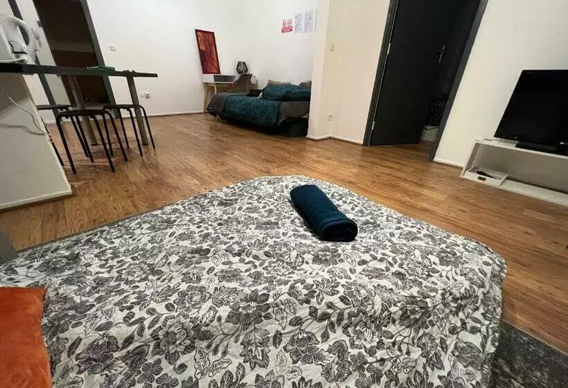 Mon Palmier Grand Appartement Parking Un Séjour à Part