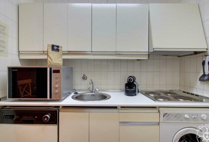 Ratera De Alma De Nieve