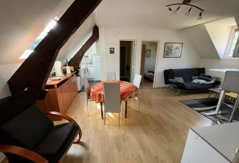 Appartement T3 à Argelès Gazost, Htes Pyrénées, à Proximité De Cauterets Et Gavarnie
