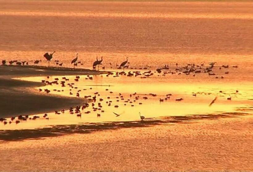 Appt Spacieux Et Lumineux Pour 6 Pers