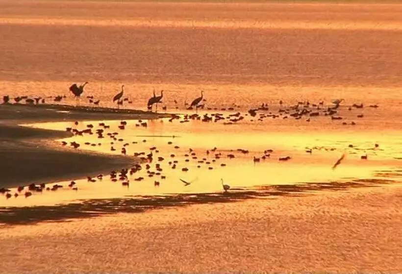 Appt Spacieux Et Lumineux Pour 6 Pers