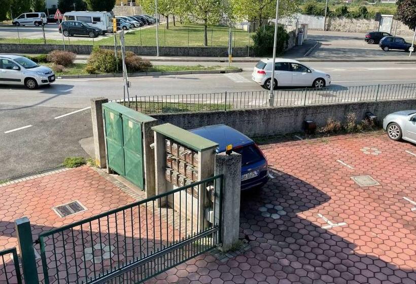 Rose E Frutta   Yellow Daisy