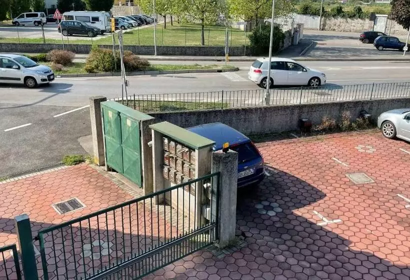 Rose E Frutta   Yellow Daisy