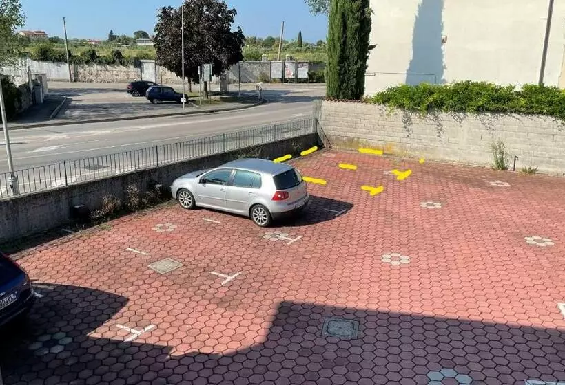 Rose E Frutta   Yellow Daisy