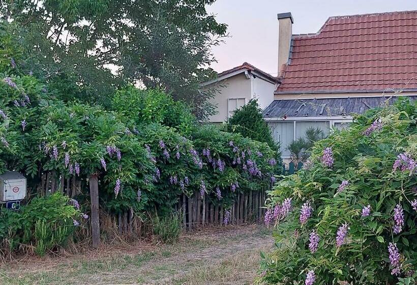 Petite Ferme Dans Le Périgord Pourpre En Dordogne