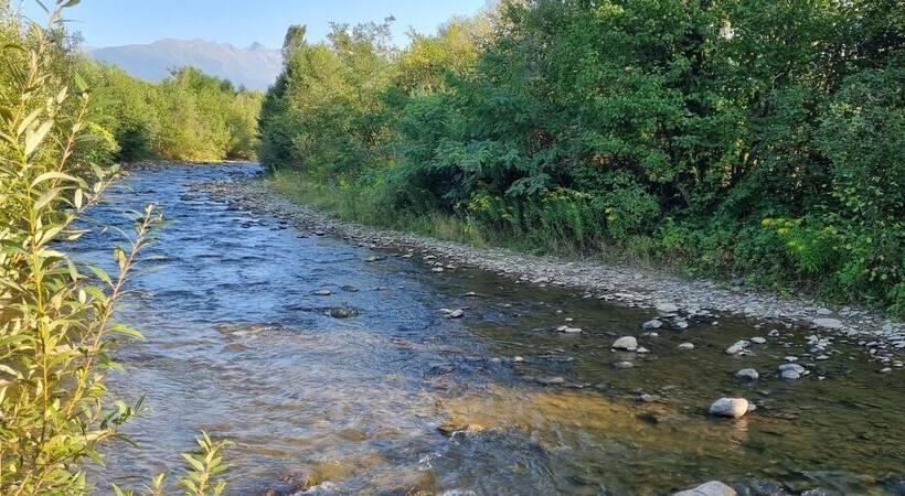 Avrigelli Baby&kids Friendly