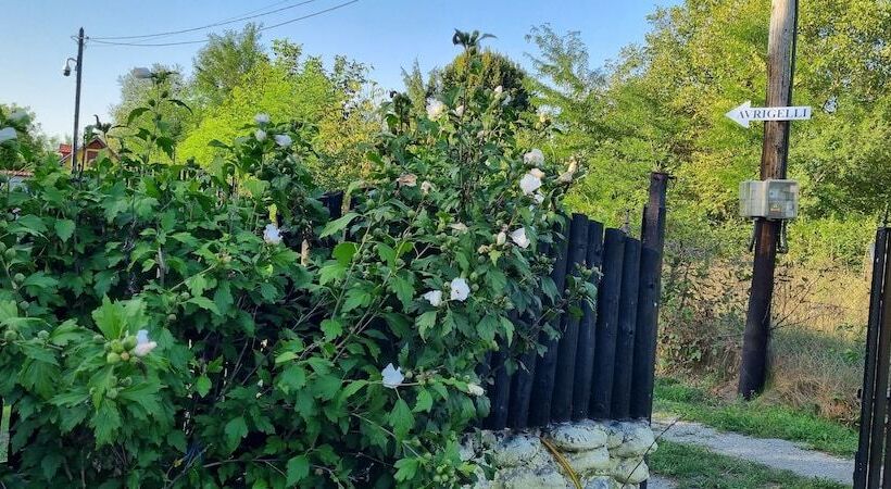 Avrigelli Baby&kids Friendly