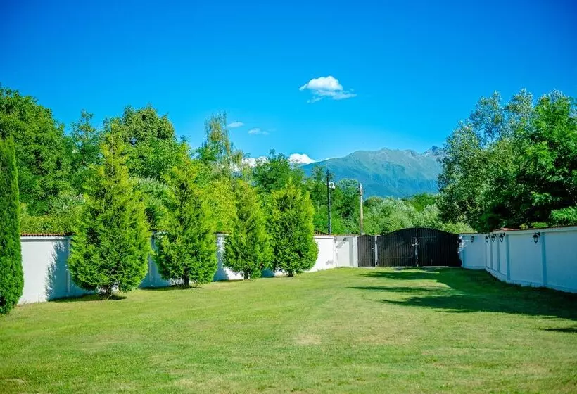 Avrigelli Baby&kids Friendly