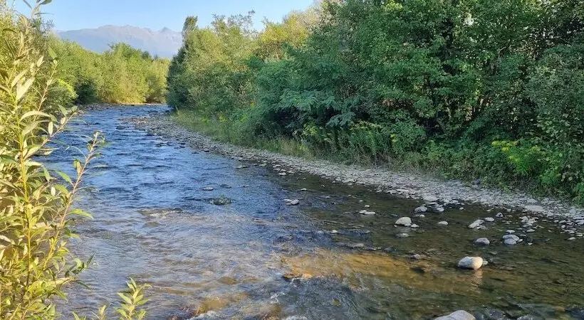 Avrigelli Baby&kids Friendly