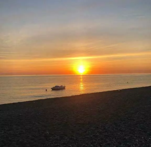 Brancaccio’s House Summer