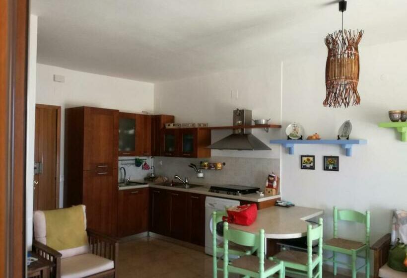 Brancaccio’s House Summer