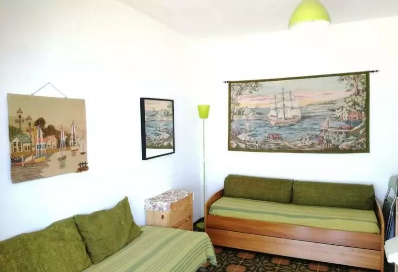 Brancaccio’s House Summer