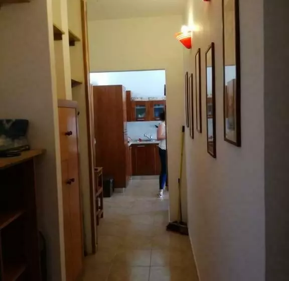 Brancaccio’s House Summer