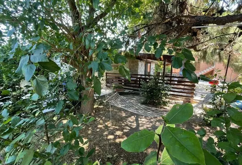 Gizlibahçe
