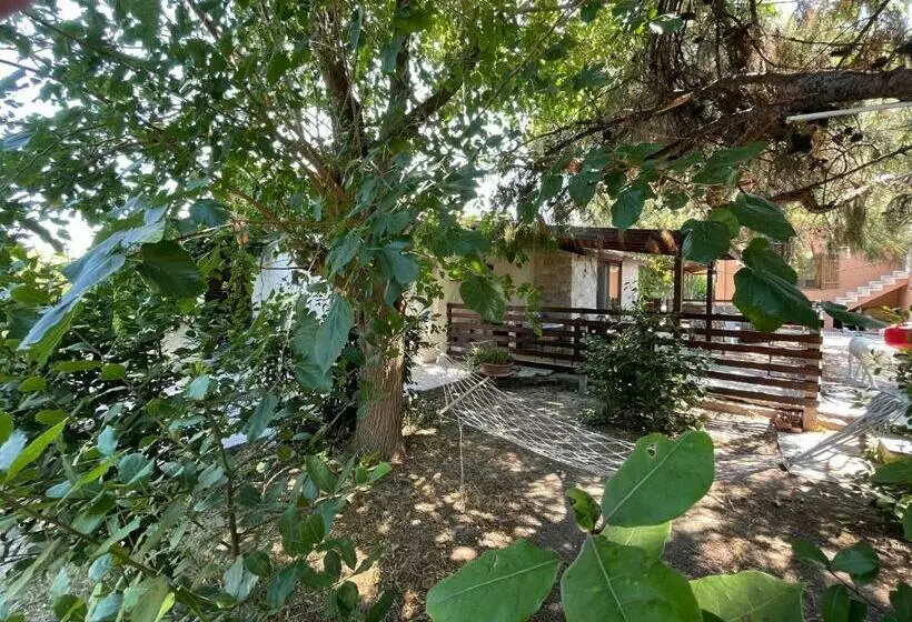 Gizlibahçe