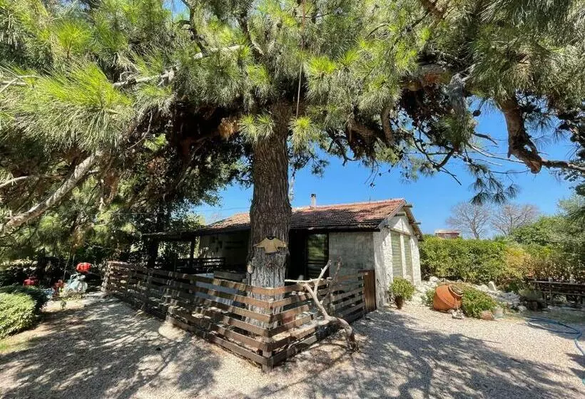 Gizlibahçe