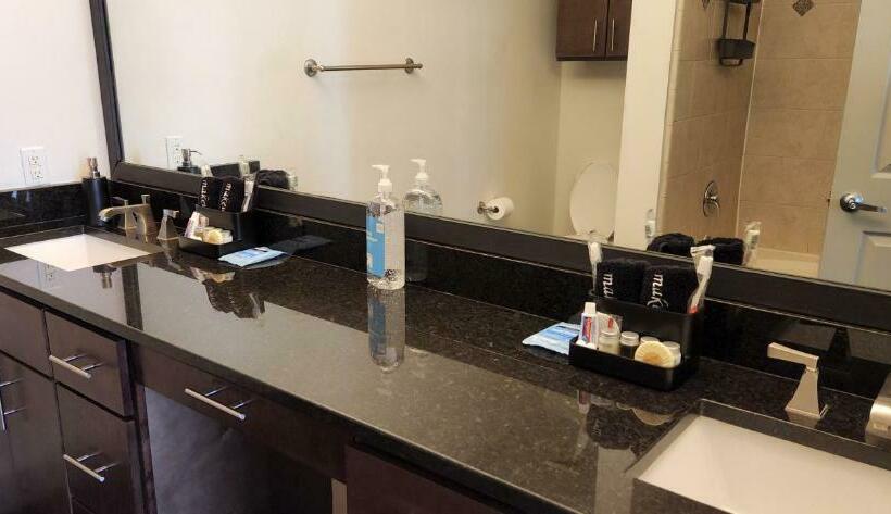 The Diamond Lux Apt Near Nrg & Tx Med Center W Pool