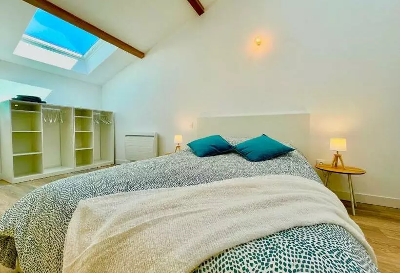 Arena   Duplex Lumineux