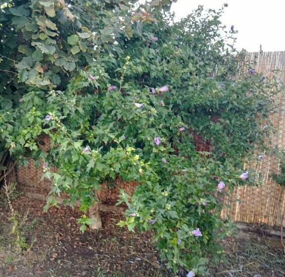Casa Penélope Fronte Spiaggia Parcheggio 2 Camere