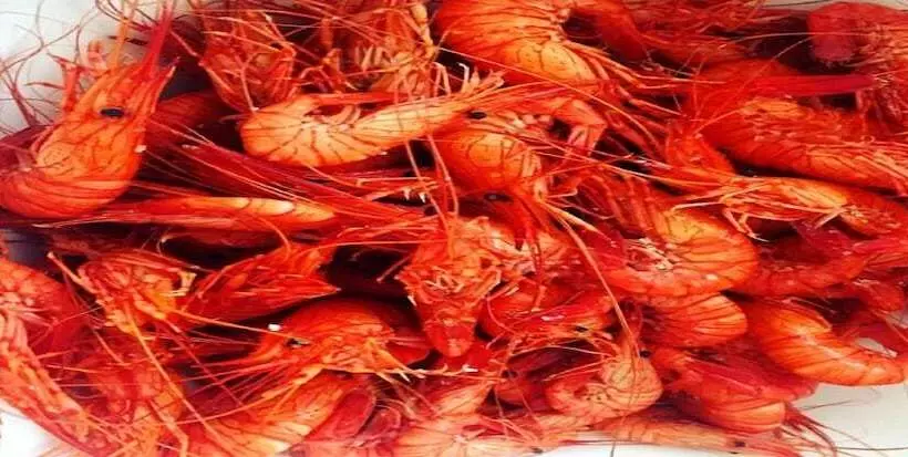 Отель De La Pointe De Mousterlin