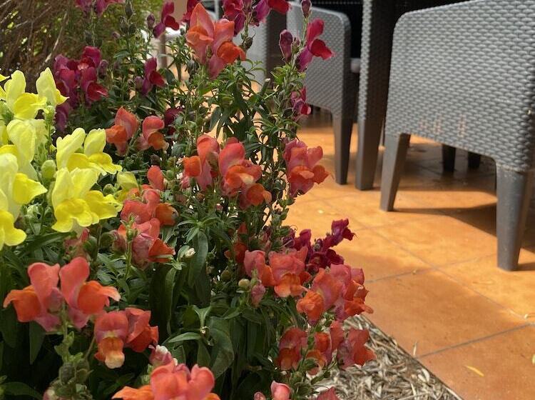 Contact Hotel Le Sud Montpellier Aéroport Parc Expo Arena