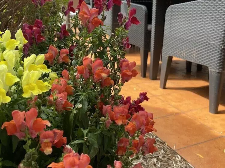 Contact Hotel Le Sud Montpellier Aéroport Parc Expo Arena