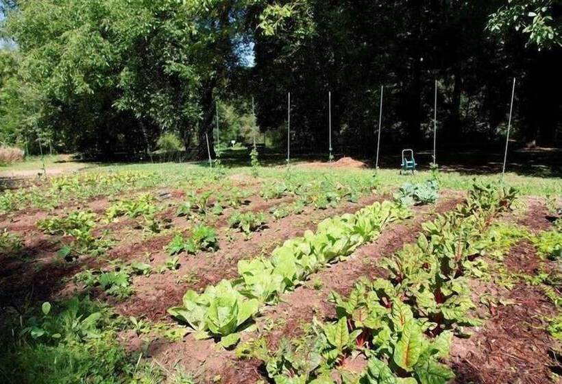 בית מלון כפרי Restaurant Niedmühle Land & Genuss