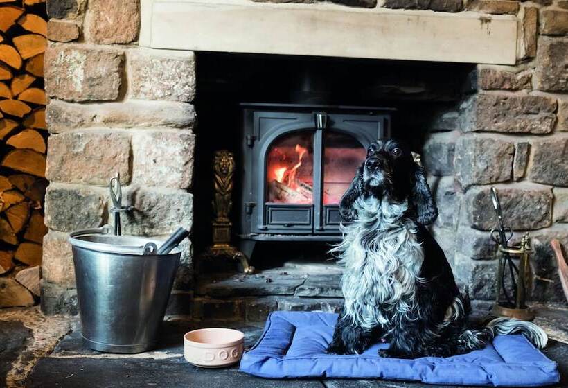 酒店 The Golden Lion At Settle