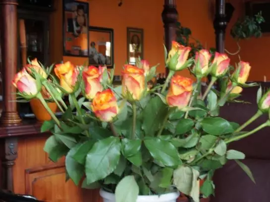 Majatalo Velten Gasthof