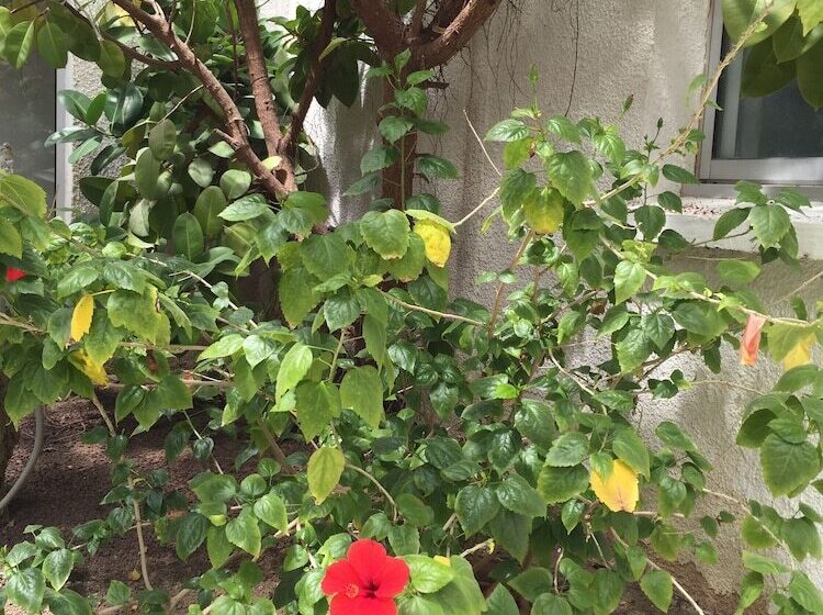 The Originals City, Relax Otel & Spa, Le Barcarès