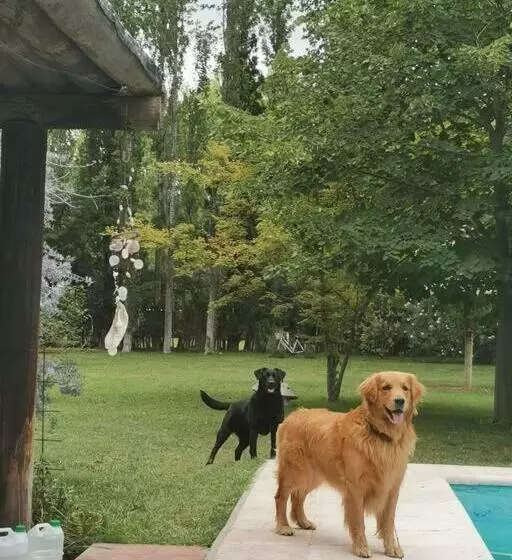 Entre Viñas