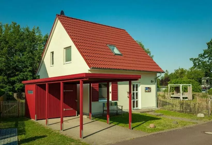 Haus Pangea B47690