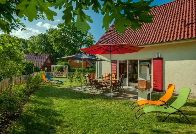 Haus Pangea B47690