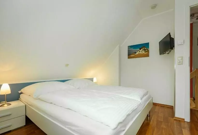 Haus Pangea B47690