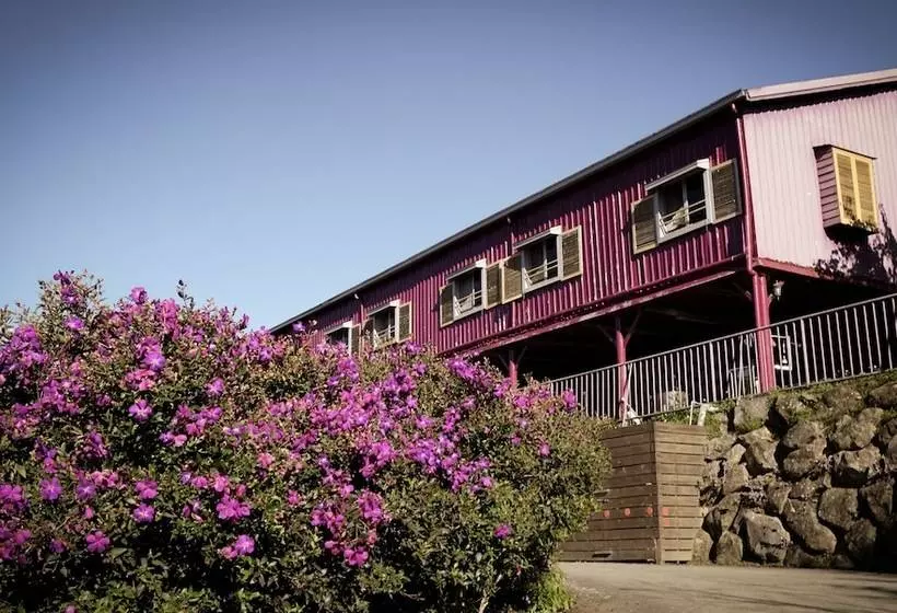 هتل H& Alishan Sunrise B&b