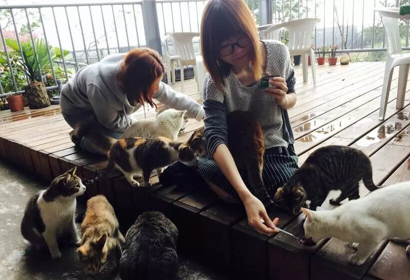 هتل H& Alishan Sunrise B&b