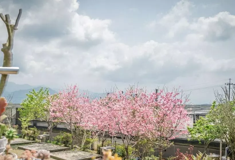 هتل H& Alishan Sunrise B&b