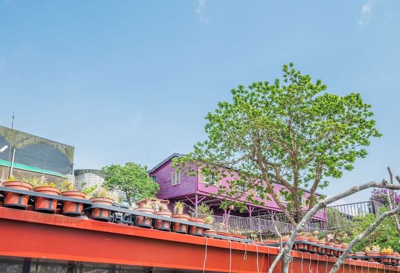 هتل H& Alishan Sunrise B&b