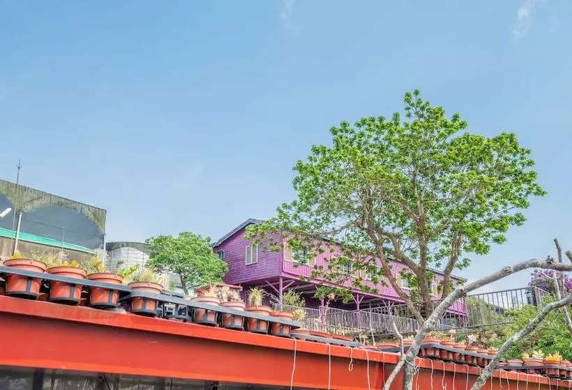 هتل H& Alishan Sunrise B&b